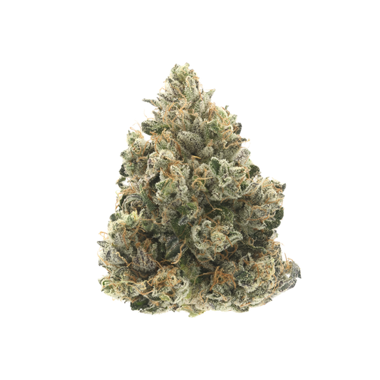 DONNY BURGER (indica)