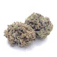 ELMERS GLUE (hybrid)
