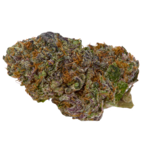 FUNK TRAIN (Hybrid)