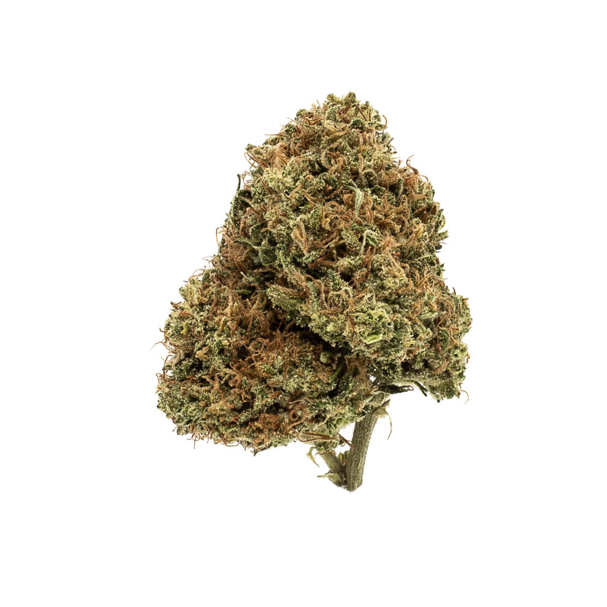 GREEN CRACK (Sativa)