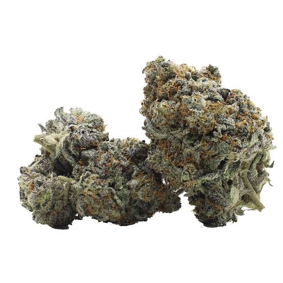 GG#5 (Indica)