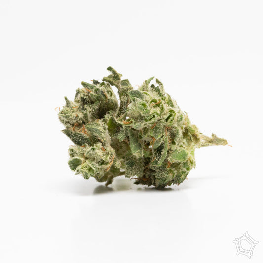 Sticky Icky Glue (Hybrid)