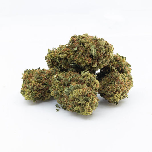 Pine Queen (sativa)