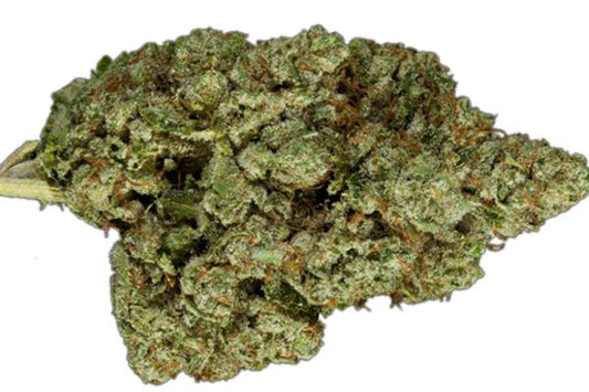 Headband (indica)