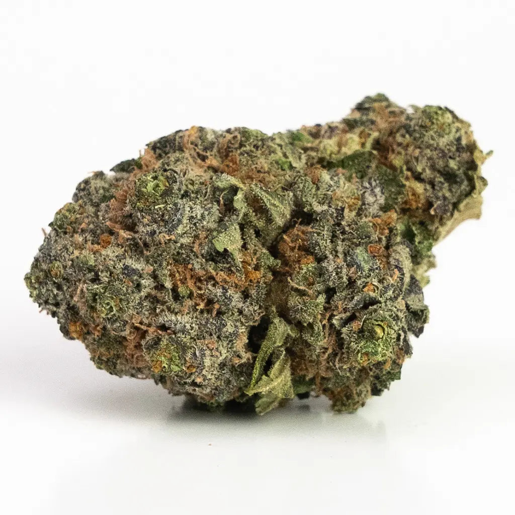 SUPER JACK (sativa)