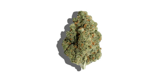 Jack Herer (sativa)