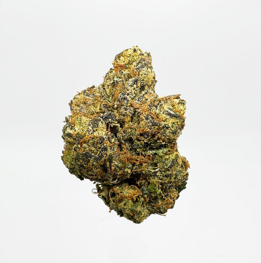 King Loui (indica)
