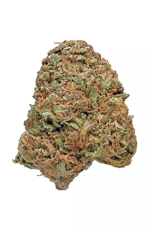 Maui Wowie (sativa)