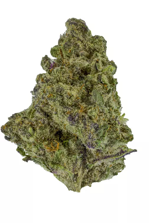 Medellin (indica)