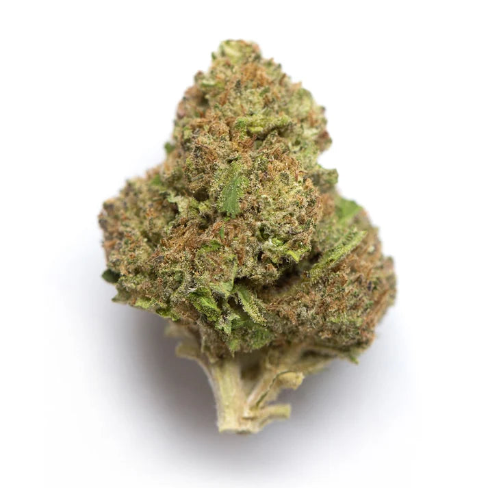Gelato 41 (Hybrid)