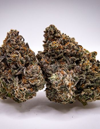 Plat. Oreoz (indica)