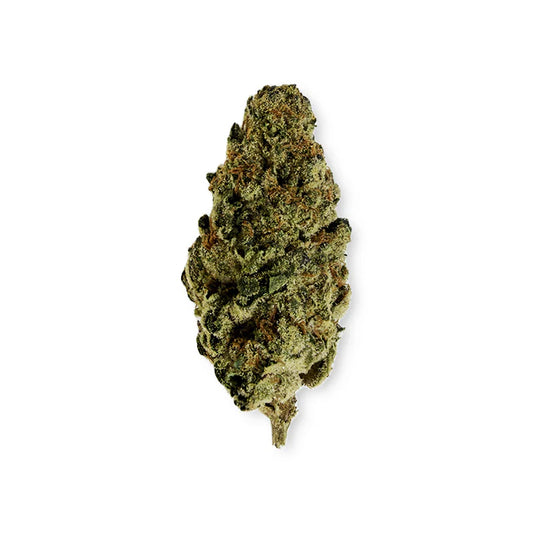 ORANGE CREAMSICLE (sativa)