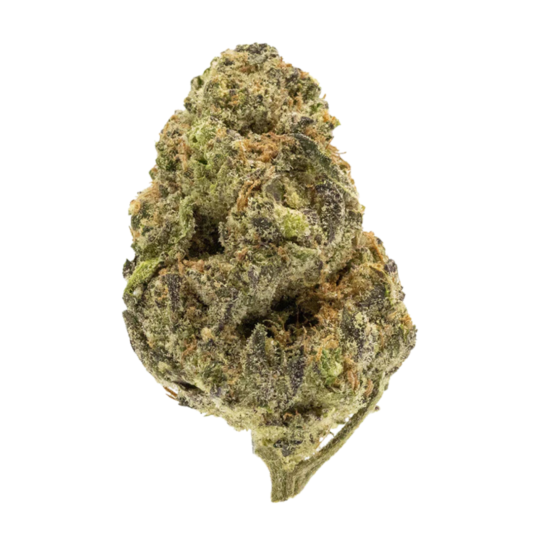 oasis (hybrid)