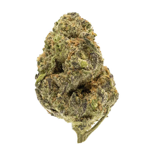 oasis (hybrid)