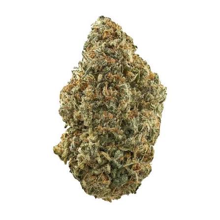RAT PACK OG (hybrid)
