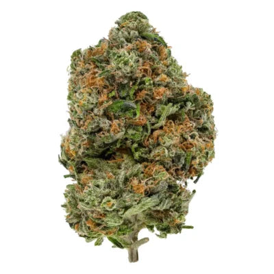 Snoop Dog OG (indica)