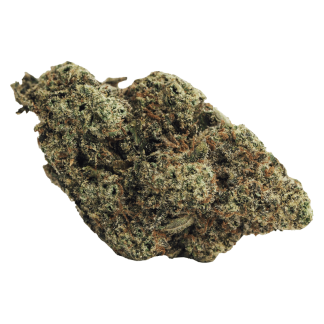 Do Si Dos (Indica)