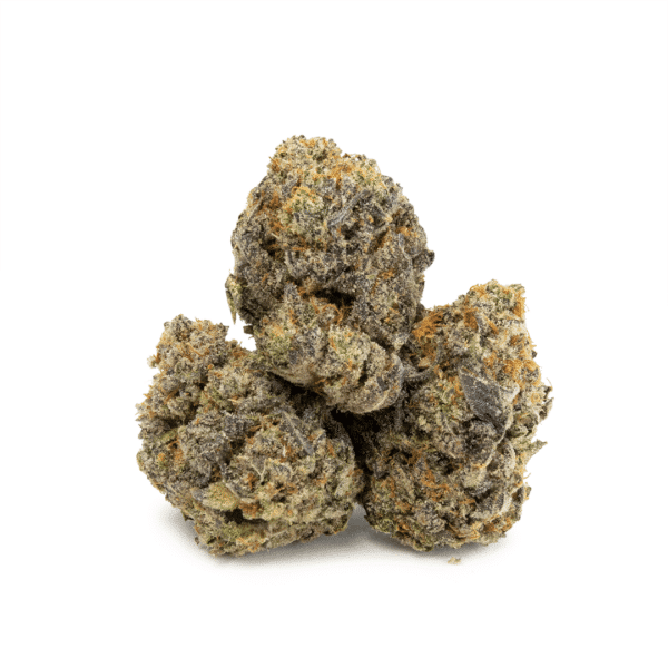 SUNDAE DRIVER (Hybrid)