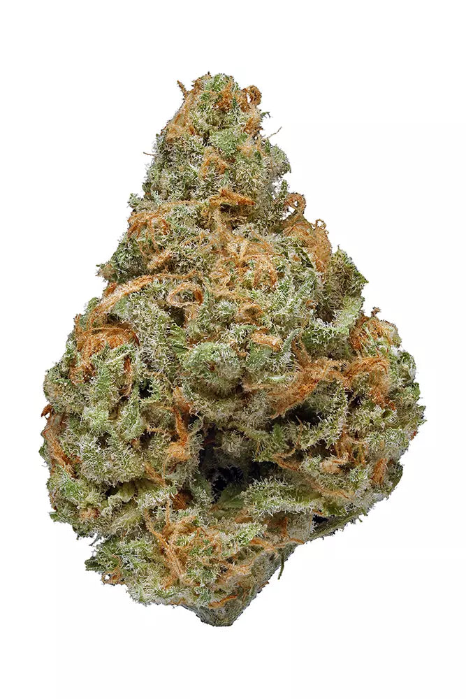 Blue Dream (sativa)