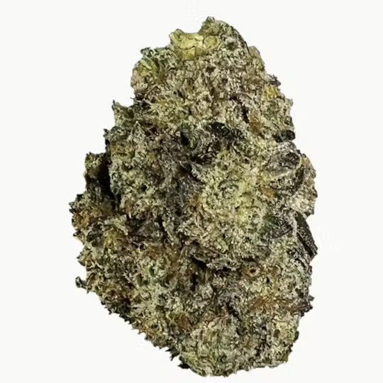Truffle Butter (Indica)