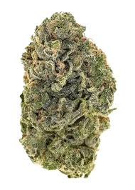 SUPER BOOF (Hybrid)