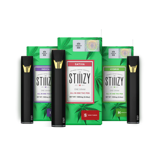 STIIIZY All-in-One 1G Disposable