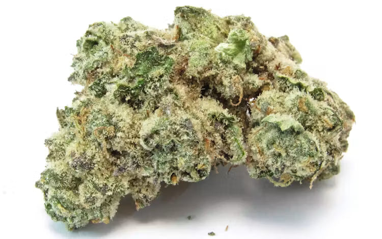 LIL BABY WHAM (hybrid)