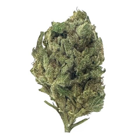 WHITE TAHOE COOKIES (Hybrid)
