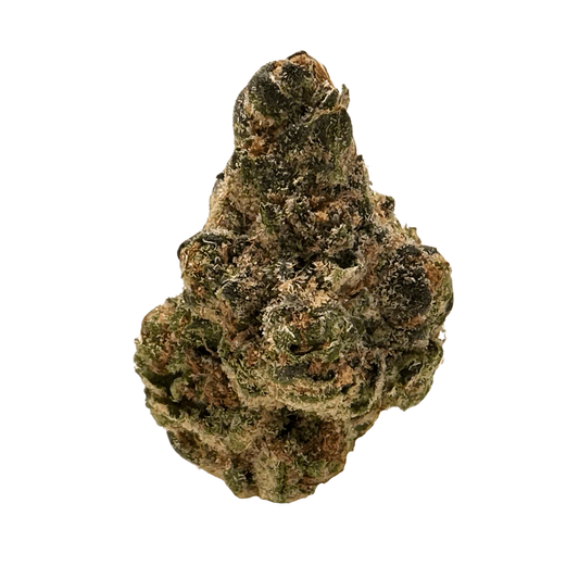 AGENT RNTZ (hybrid)