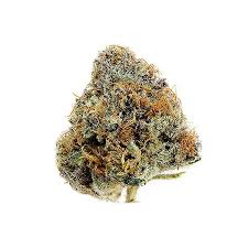 Alien Gelato (Hybrid)