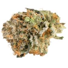 Amazonian Jack (sativa)