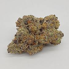 APPLE SCOTTIE  (indica) SALE