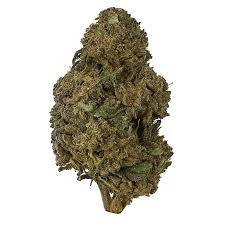 Black Uzi (Indica)