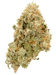 Blue Blanco (Hybrid)