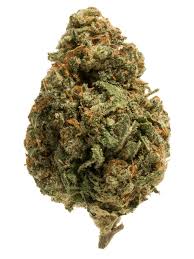 Blue Faygo (Hybrid)