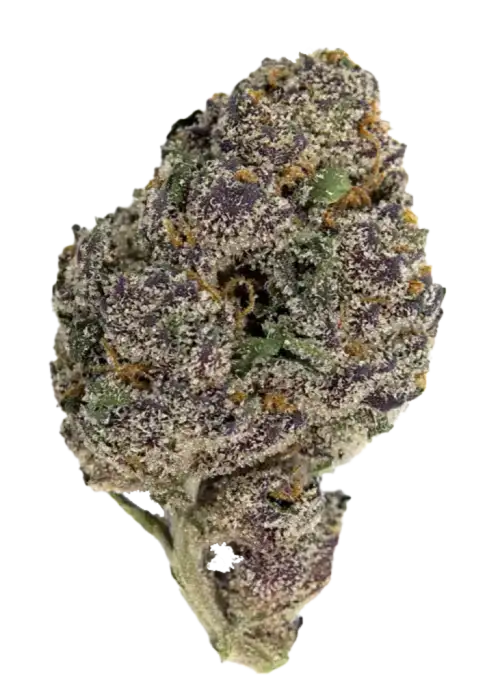 Blue ZKZ (hybrid)
