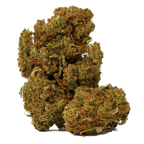 Bubble Gelato (Hybrid)