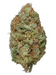 Bubble Gum (Hybrid)