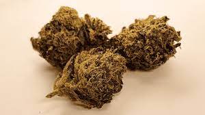 Cheese (indica)