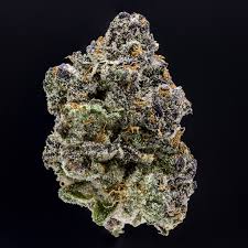 710 Labs Cherry Zest (hybrid)