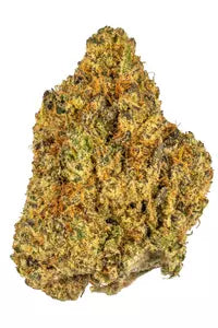 Cherry Cookies (Hybrid)