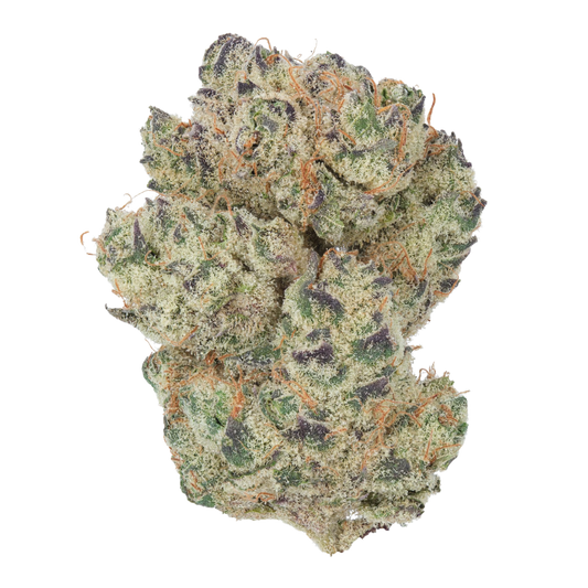 Chimera (hybrid)