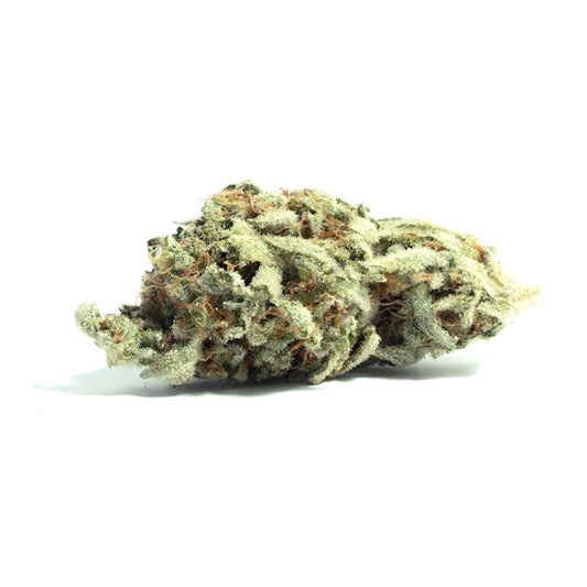 Churro Gelato (Hybrid)
