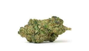 Donny Burger (Indica)