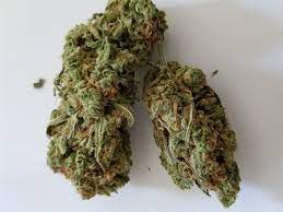 Dragon Berry Cough (Hybrid)