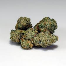 ENGLISH CREAM (Indica)