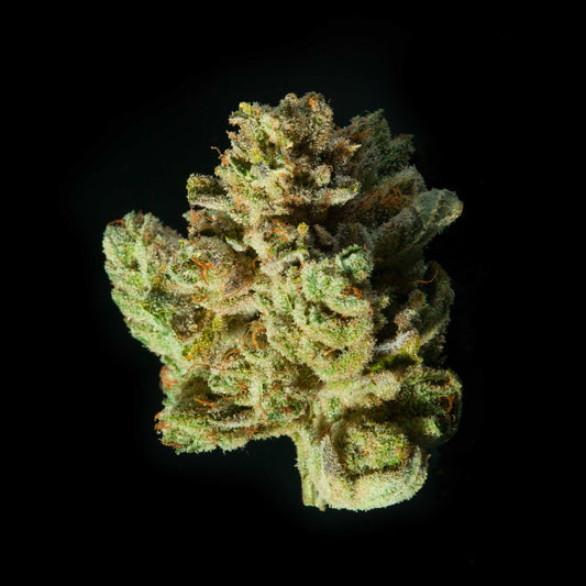 GG #33 (hybrid)