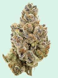 Excalibur (Indica)