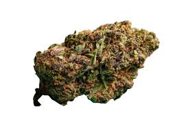 FORBIDDEN TROPICAL FRUIT (sativa/hybrid)
