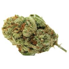 Galactic OG (Indica)